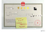 provide china visa services for work, study and travel